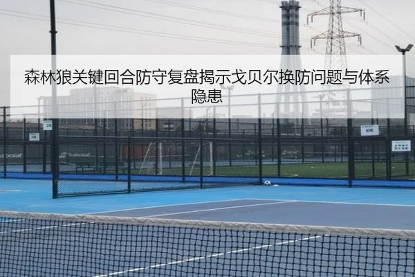 森林狼关键回合防守复盘揭示戈贝尔换防问题与体系隐患